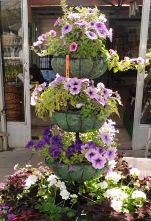 basket stand with purple petunias